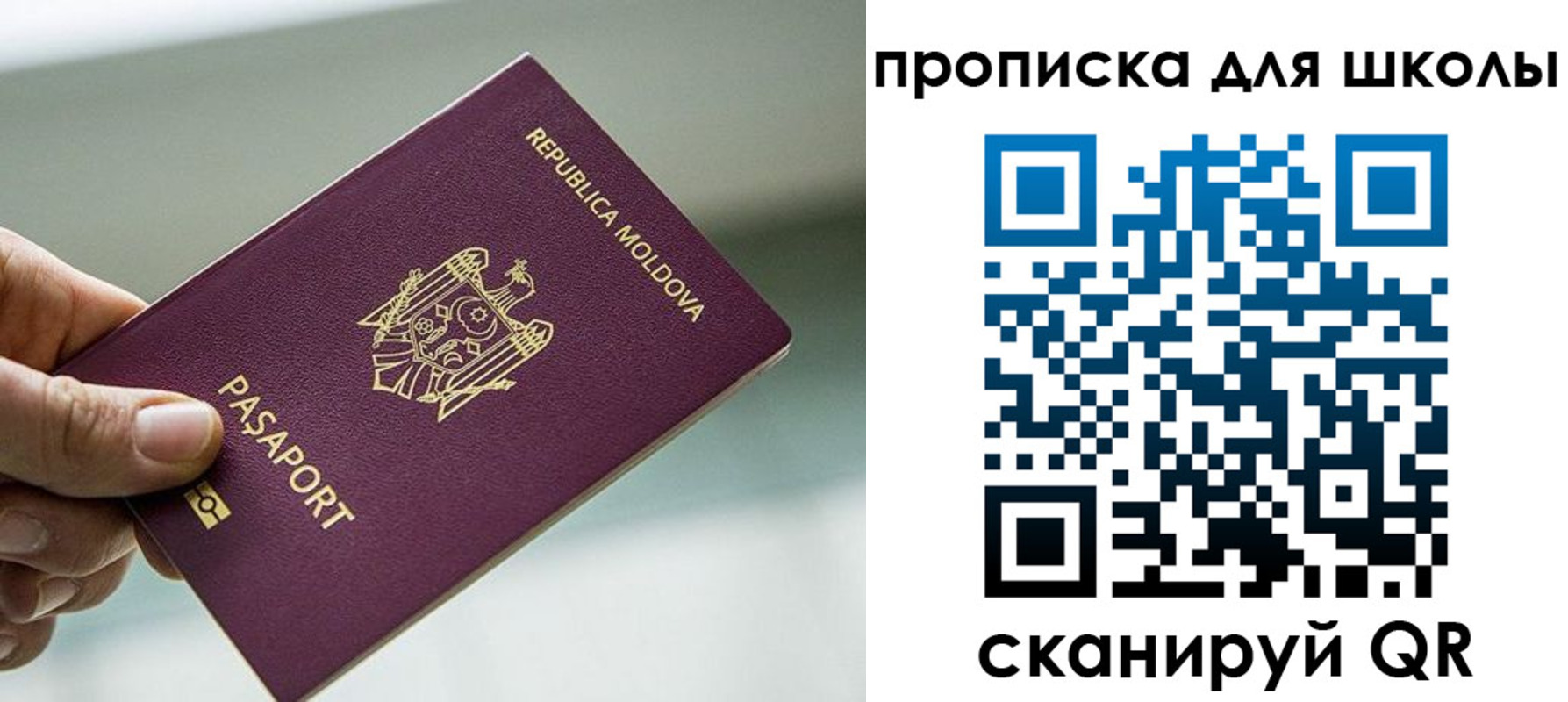 прописка в квартире в Венёве